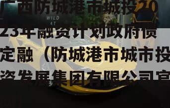 广西防城港市城投2023年融资计划政府债定融（防城港市城市投资发展集团有限公司官网）