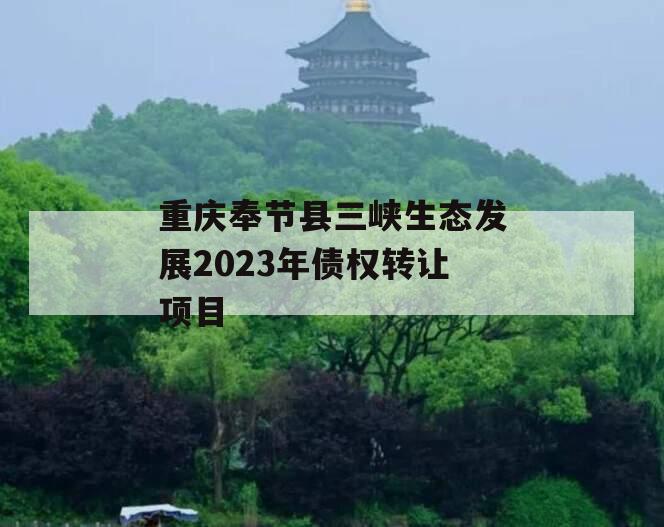 重庆奉节县三峡生态发展2023年债权转让项目