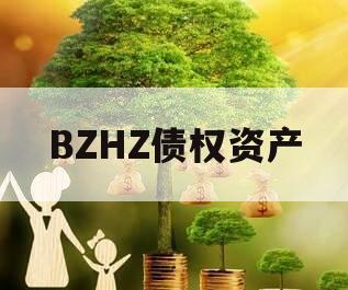 BZHZ债权资产