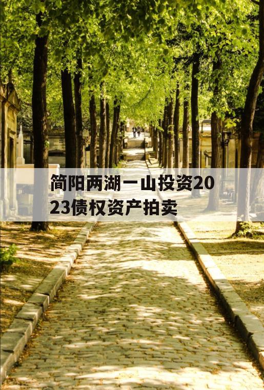 简阳两湖一山投资2023债权资产拍卖