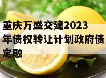 重庆万盛交建2023年债权转让计划政府债定融