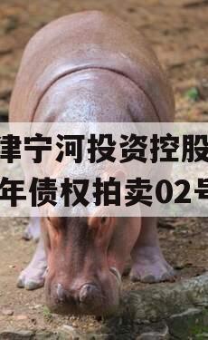 天津宁河投资控股2023年债权拍卖02号