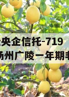 A级央企信托-719号扬州广陵一年期非标