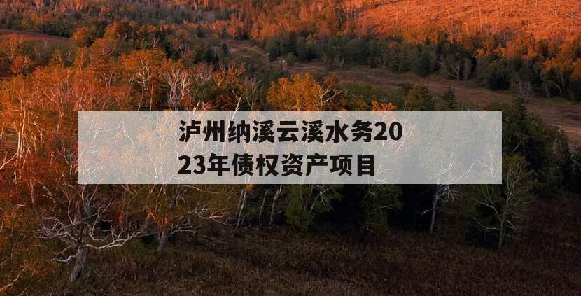 泸州纳溪云溪水务2023年债权资产项目