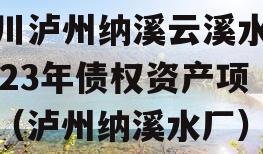 四川泸州纳溪云溪水务2023年债权资产项目（泸州纳溪水厂）