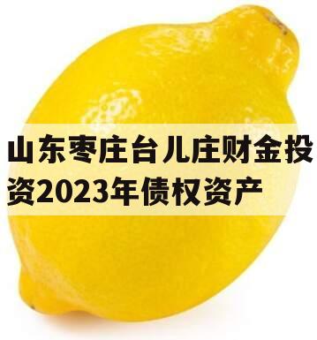 山东枣庄台儿庄财金投资2023年债权资产