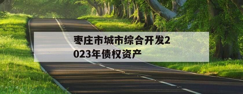 枣庄市城市综合开发2023年债权资产