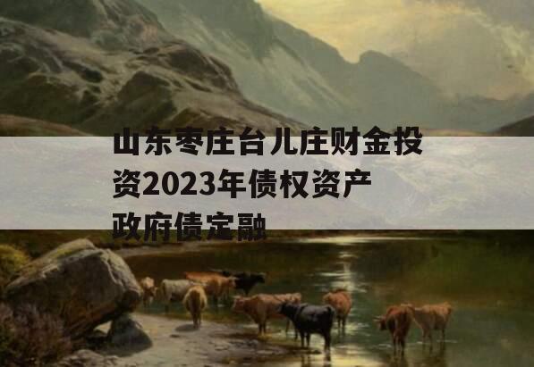 山东枣庄台儿庄财金投资2023年债权资产政府债定融