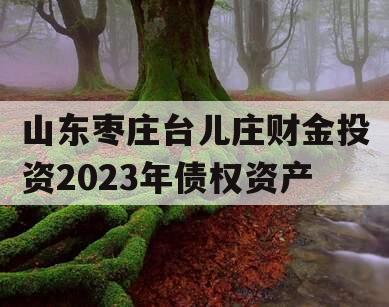 山东枣庄台儿庄财金投资2023年债权资产