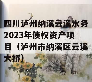 四川泸州纳溪云溪水务2023年债权资产项目（泸州市纳溪区云溪大桥）