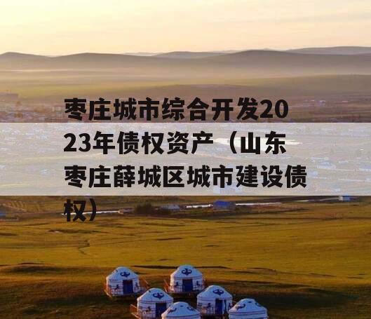 枣庄城市综合开发2023年债权资产（山东枣庄薛城区城市建设债权）