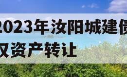 2023年汝阳城建债权资产转让