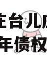 山东枣庄台儿庄财金投资2023年债权资产