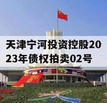 天津宁河投资控股2023年债权拍卖02号