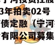 天津宁河投资控股债权2023年拍卖02号政府债定融（宁河投资控股有限公司募集说明书）