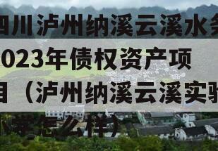 四川泸州纳溪云溪水务2023年债权资产项目（泸州纳溪云溪实验小学怎么样）