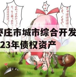 枣庄市城市综合开发2023年债权资产