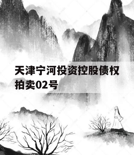 天津宁河投资控股债权拍卖02号