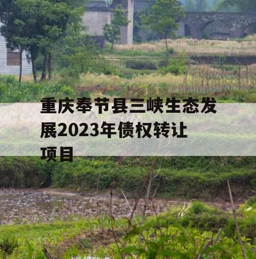 重庆奉节县三峡生态发展2023年债权转让项目