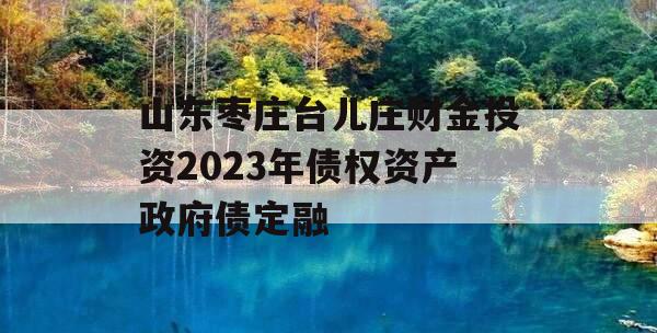 山东枣庄台儿庄财金投资2023年债权资产政府债定融