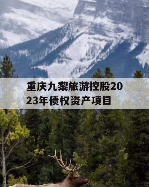 重庆九黎旅游控股2023年债权资产项目