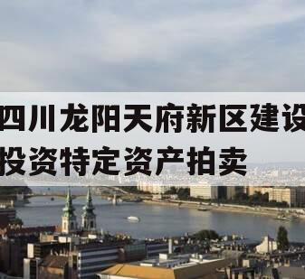 四川龙阳天府新区建设投资特定资产拍卖