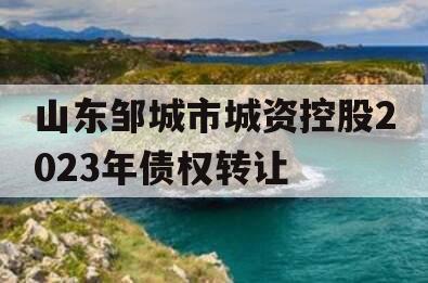 山东邹城市城资控股2023年债权转让