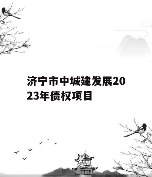 济宁市中城建发展2023年债权项目