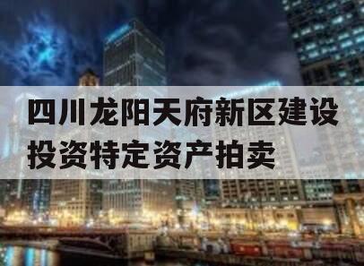 四川龙阳天府新区建设投资特定资产拍卖