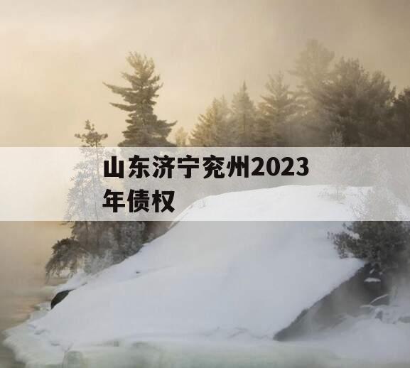 山东济宁兖州2023年债权