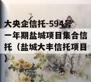 大央企信托-594号一年期盐城项目集合信托（盐城大丰信托项目）