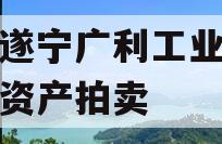 四川遂宁广利工业发展特定资产拍卖