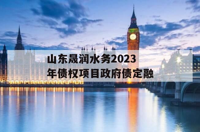 山东晟润水务2023年债权项目政府债定融