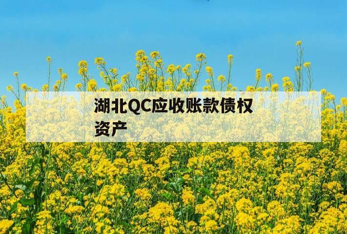 湖北QC应收账款债权资产