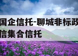 国企信托-聊城非标政信集合信托