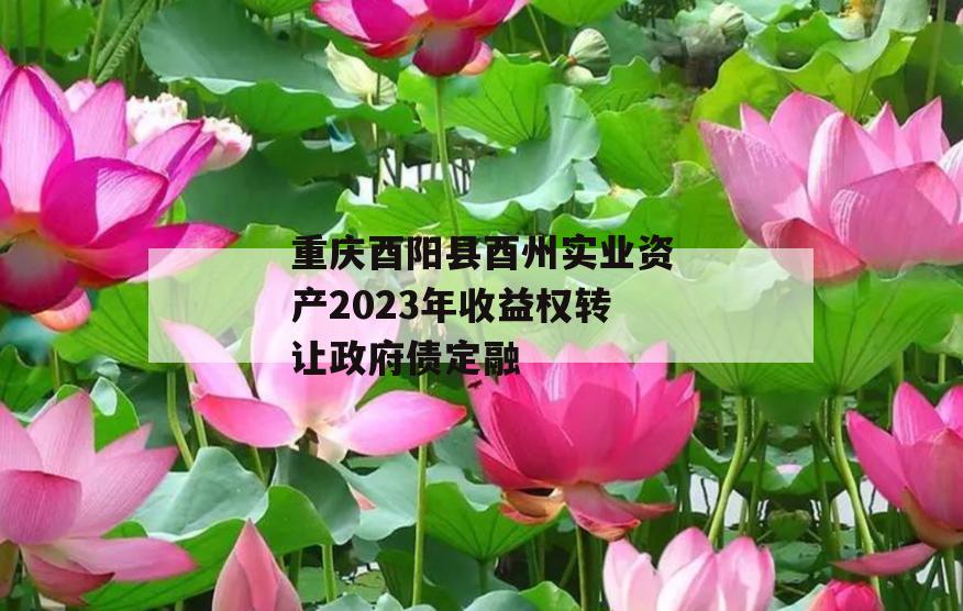 重庆酉阳县酉州实业资产2023年收益权转让政府债定融