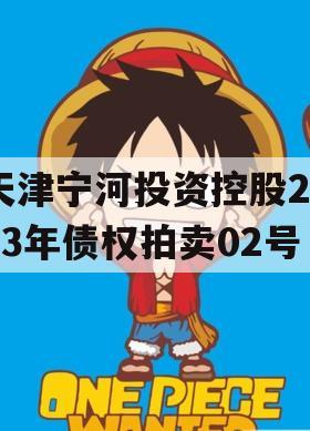 天津宁河投资控股2023年债权拍卖02号