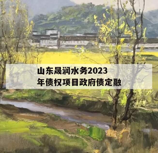 山东晟润水务2023年债权项目政府债定融