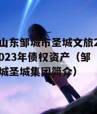 山东邹城市圣城文旅2023年债权资产（邹城圣城集团简介）