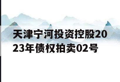 天津宁河投资控股2023年债权拍卖02号