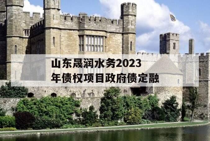 山东晟润水务2023年债权项目政府债定融