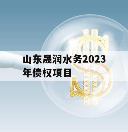 山东晟润水务2023年债权项目