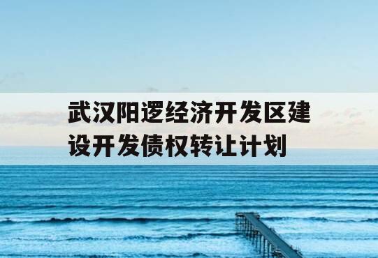 武汉阳逻经济开发区建设开发债权转让计划