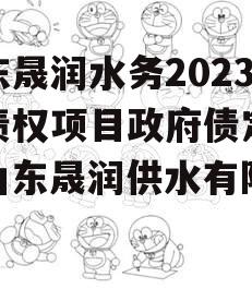 山东晟润水务2023年债权项目政府债定融（山东晟润供水有限公司）