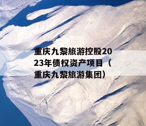 重庆九黎旅游控股2023年债权资产项目（重庆九黎旅游集团）