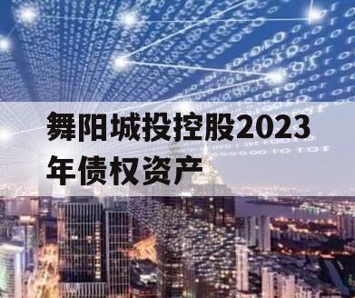 舞阳城投控股2023年债权资产