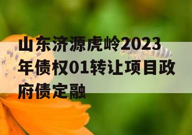 山东济源虎岭2023年债权01转让项目政府债定融