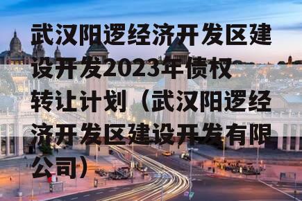 武汉阳逻经济开发区建设开发2023年债权转让计划（武汉阳逻经济开发区建设开发有限公司）