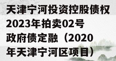 天津宁河投资控股债权2023年拍卖02号政府债定融（2020年天津宁河区项目）