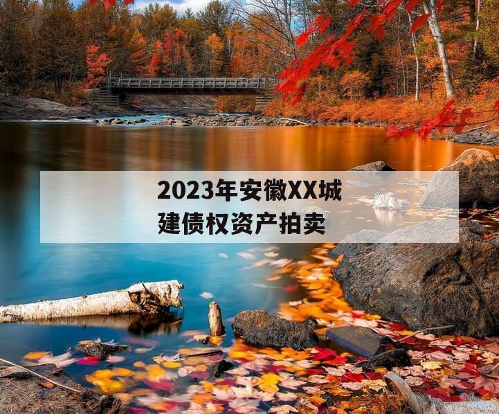 2023年安徽XX城建债权资产拍卖